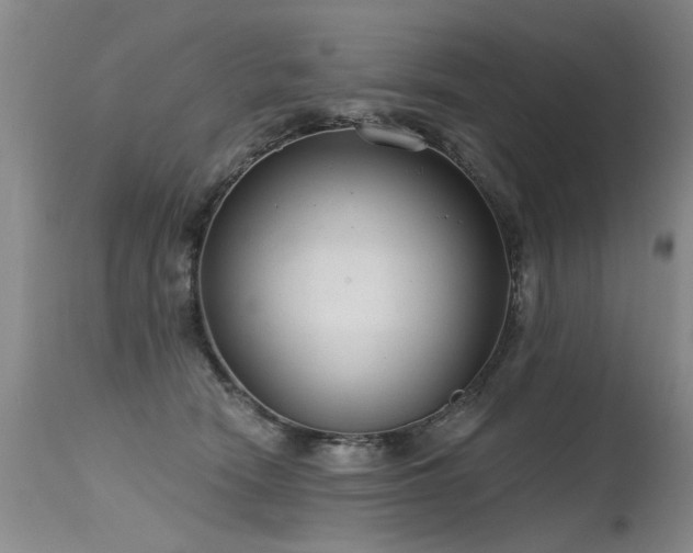 X0000115630466200911101442