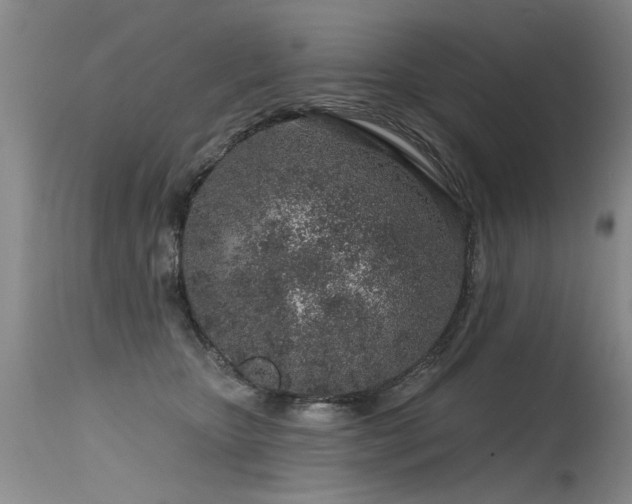 X0000115630467200911101442