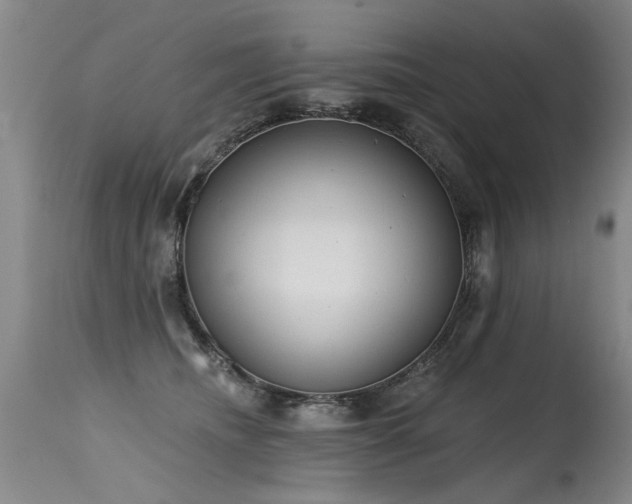 X0000115630468200911101442