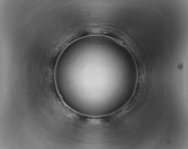 X0000115630469200911101442