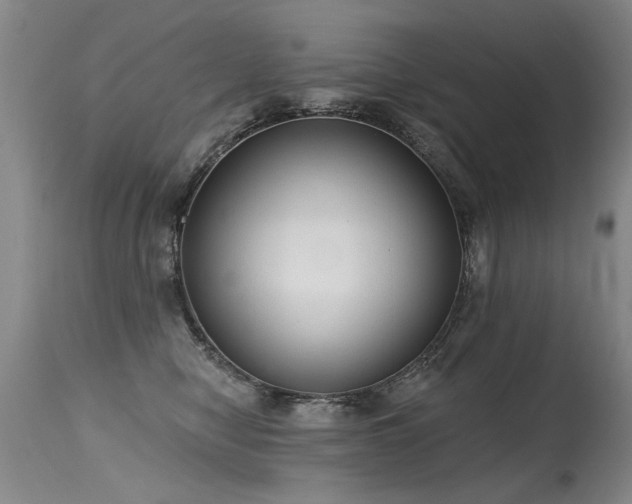 X0000115630470200911101442