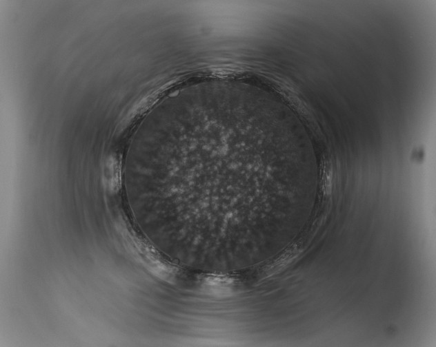 X0000115630471200911101442