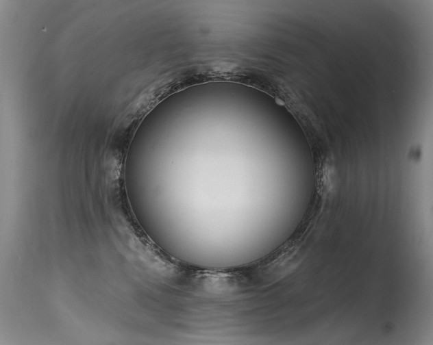 X0000115630472200911101442