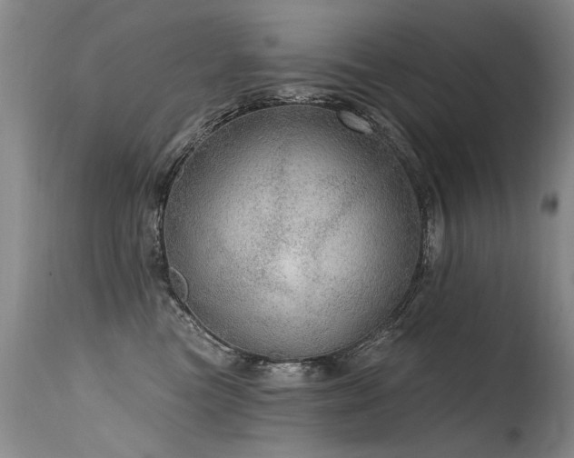 X0000115630473200911101442