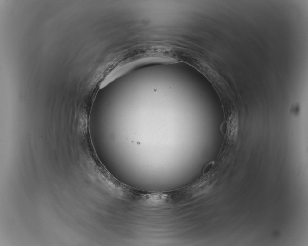 X0000115630474200911101442