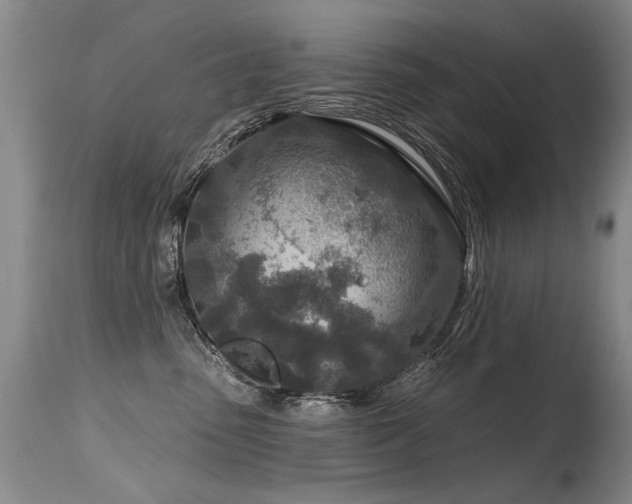 X0000115630475200911101442