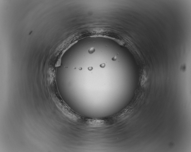 X0000115630476200911101442