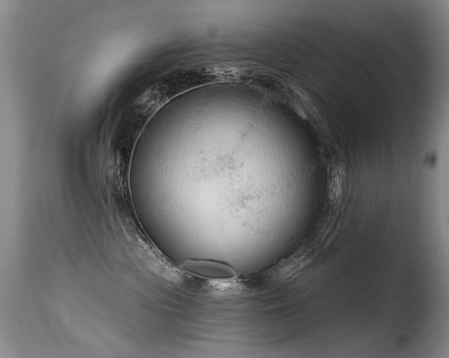 X0000115630477200911101442