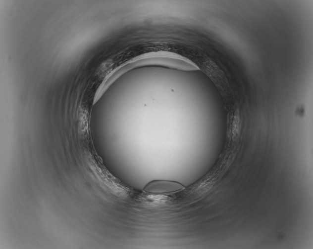 X0000115630478200911101442