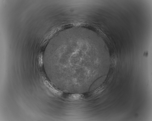 X0000115630479200911101442