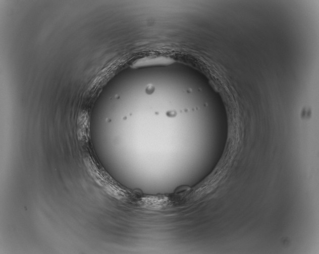 X0000115630480200911101442