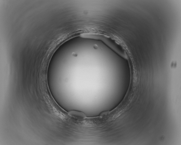 X0000115630481200911101441