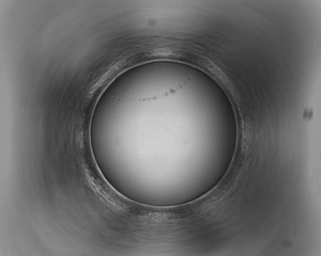 X0000115630482200911101441