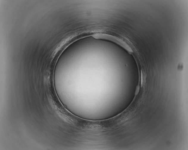 X0000115630483200911101441
