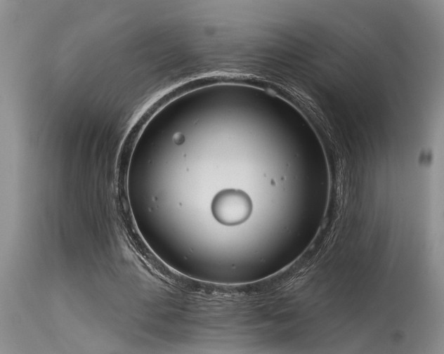 X0000115630484200911101441
