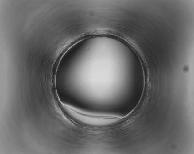 X0000115630485200911101441