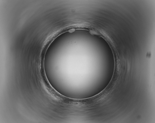 X0000115630486200911101441