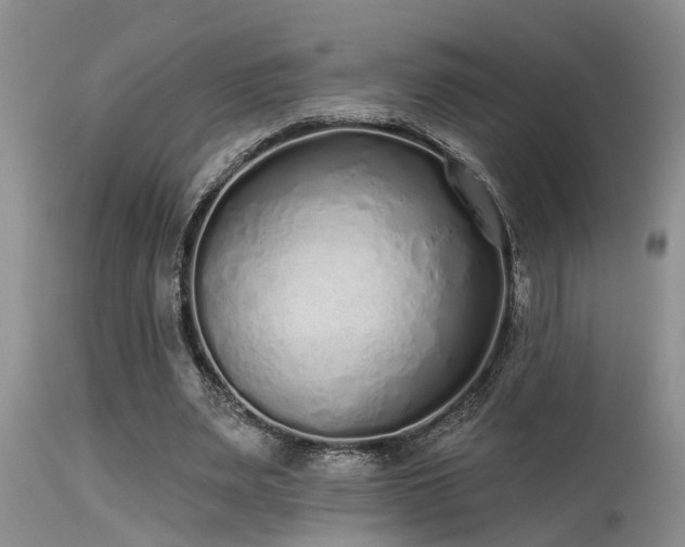 X0000115630487200911101441