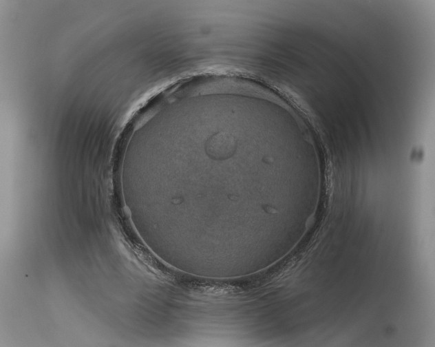 X0000115630488200911101441