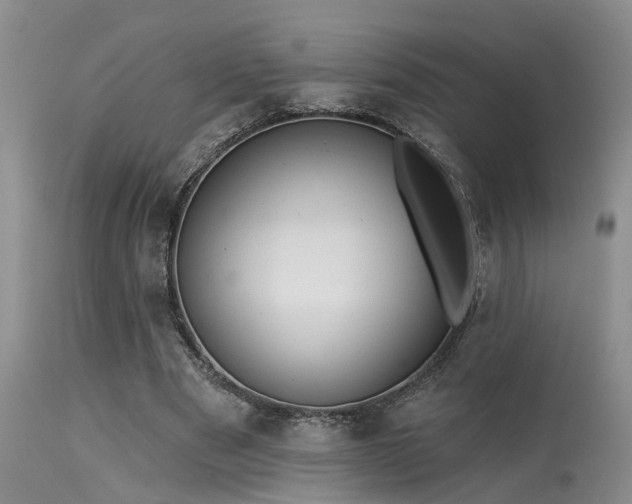 X0000115630489200911101441