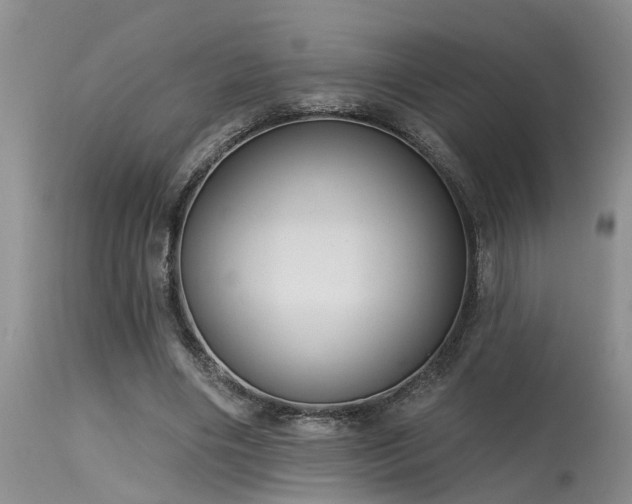 X0000115630490200911101441