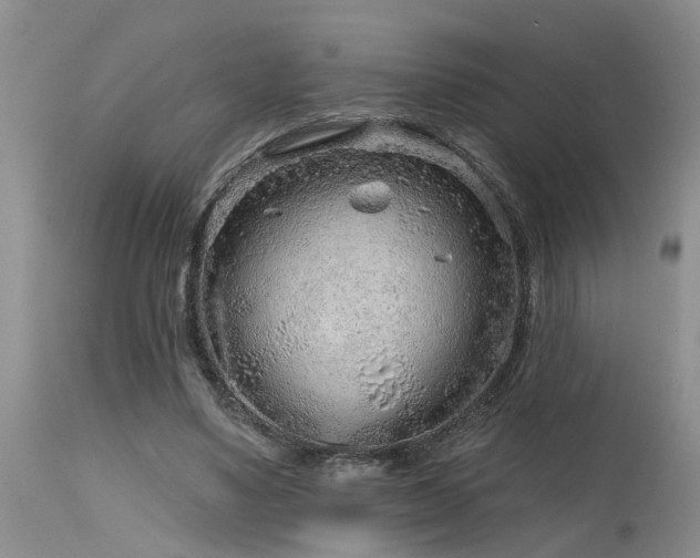 X0000115630491200911101441