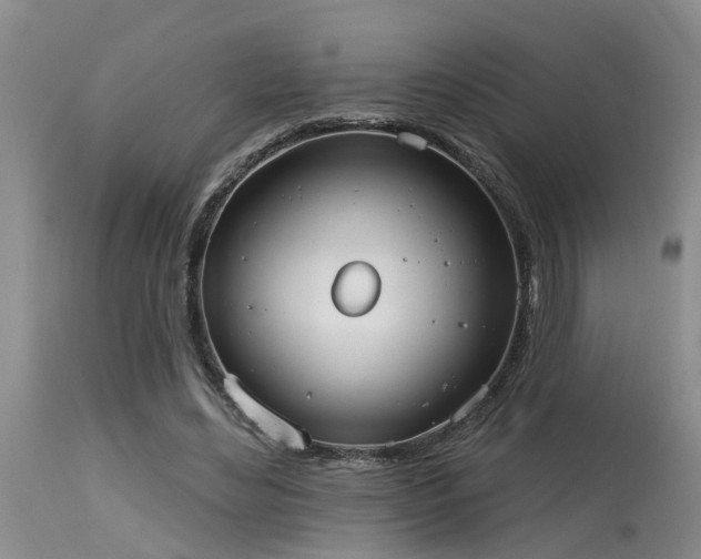 X0000115630492200911101441