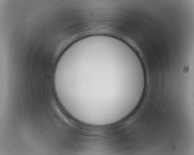 X0000115630493200911101441