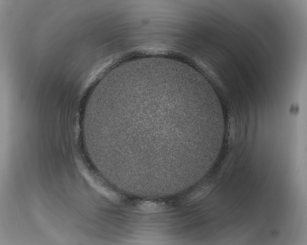 X0000115630494200911101441