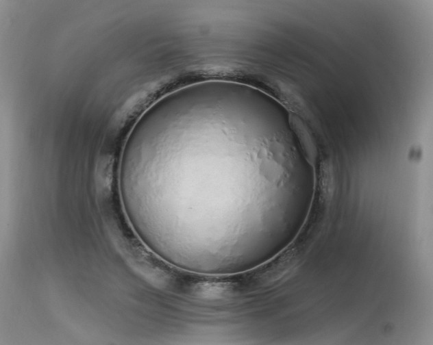 X0000115630495200911101441
