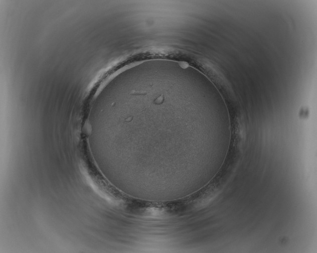 X0000115630496200911101441