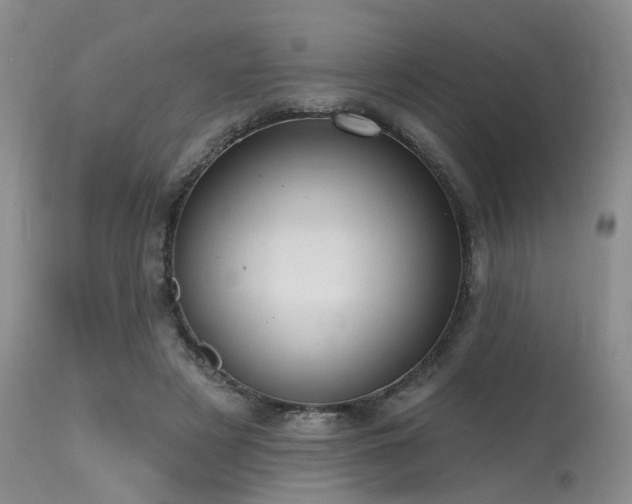 X0000115630497200911101441