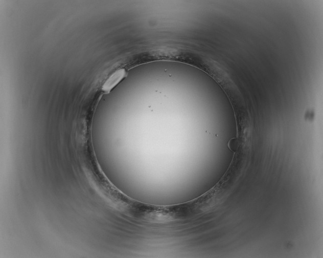 X0000115630498200911101441