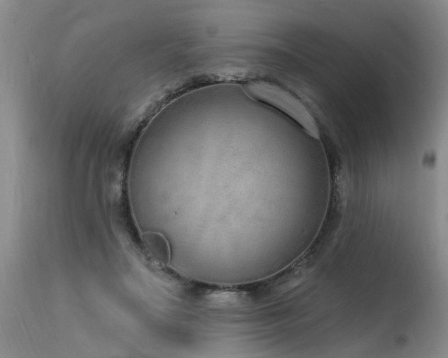 X0000115630499200911101441