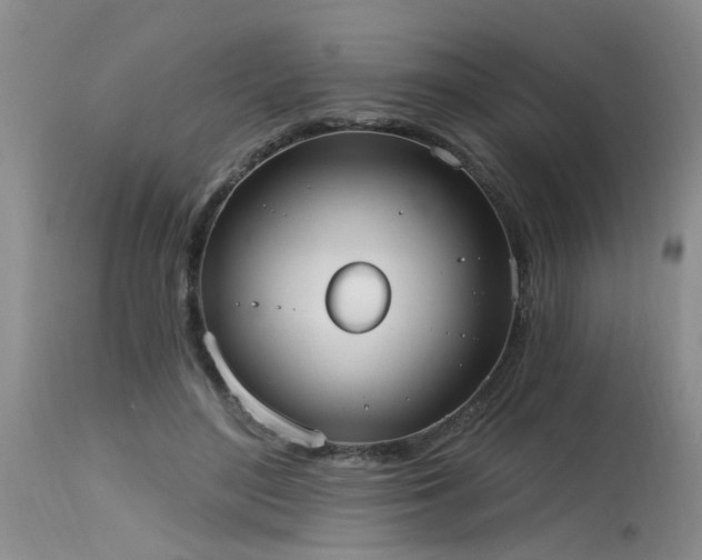 X0000115630500200911101441