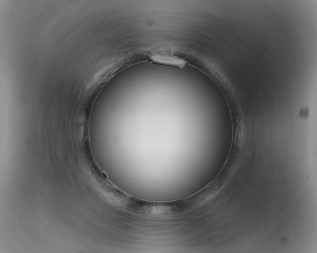X0000115630501200911101441