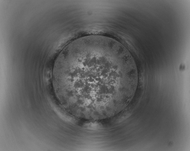 X0000115630503200911101441