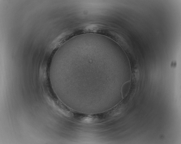 X0000115630504200911101441