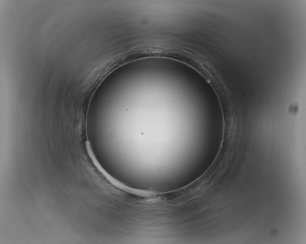 X0000115630505200911101441