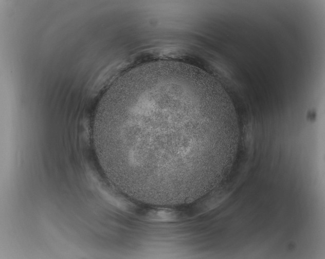 X0000115630506200911101441