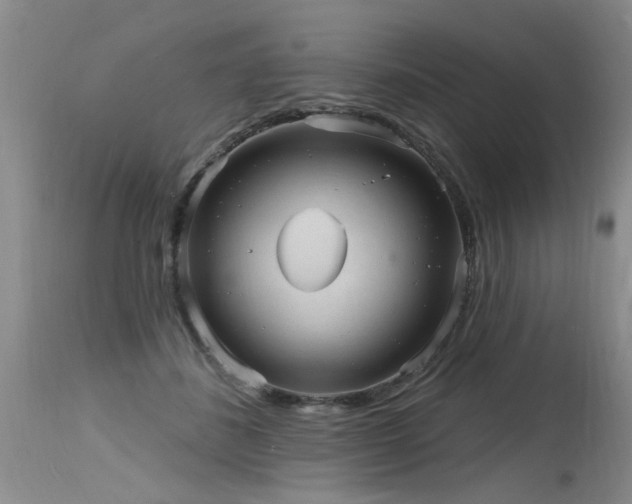 X0000115630508200911101441