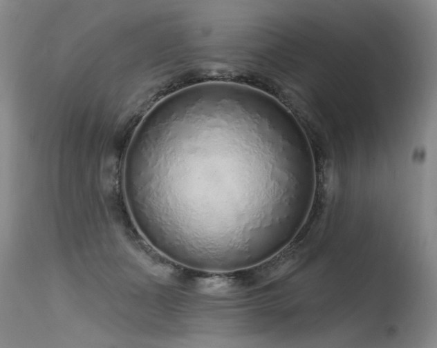 X0000115630511200911101441