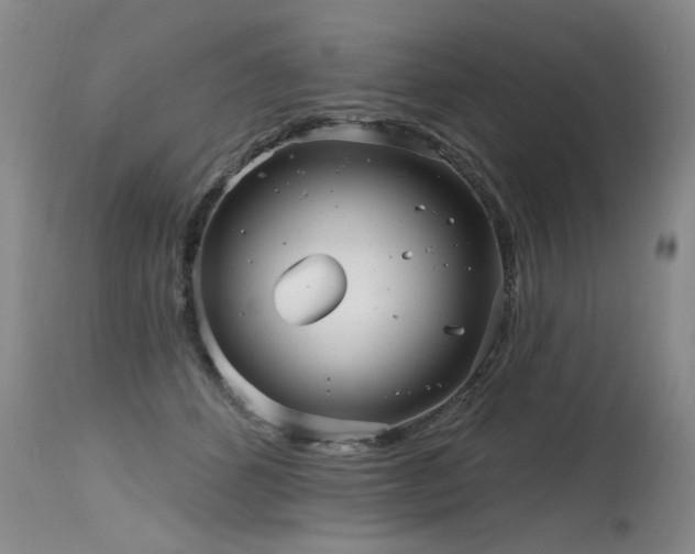 X0000115630512200911101441
