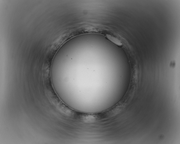 X0000115630513200911101441
