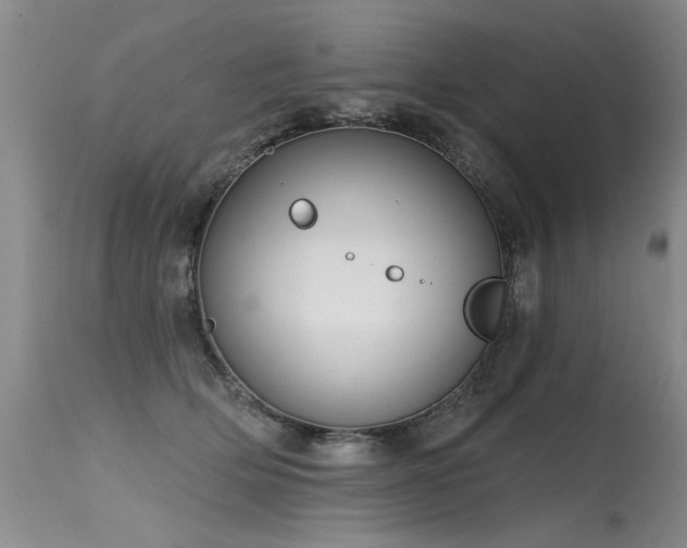 X0000115630514200911101441
