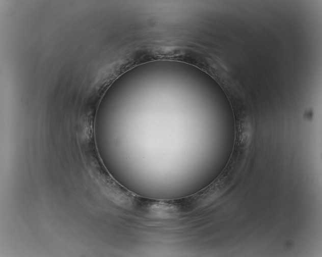 X0000115630515200911101441