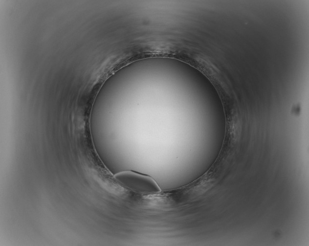 X0000115630516200911101441