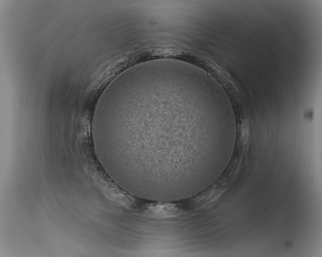 X0000115630517200911101441