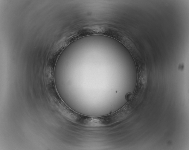 X0000115630518200911101441