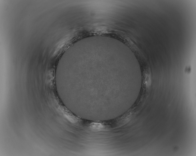 X0000115630519200911101441